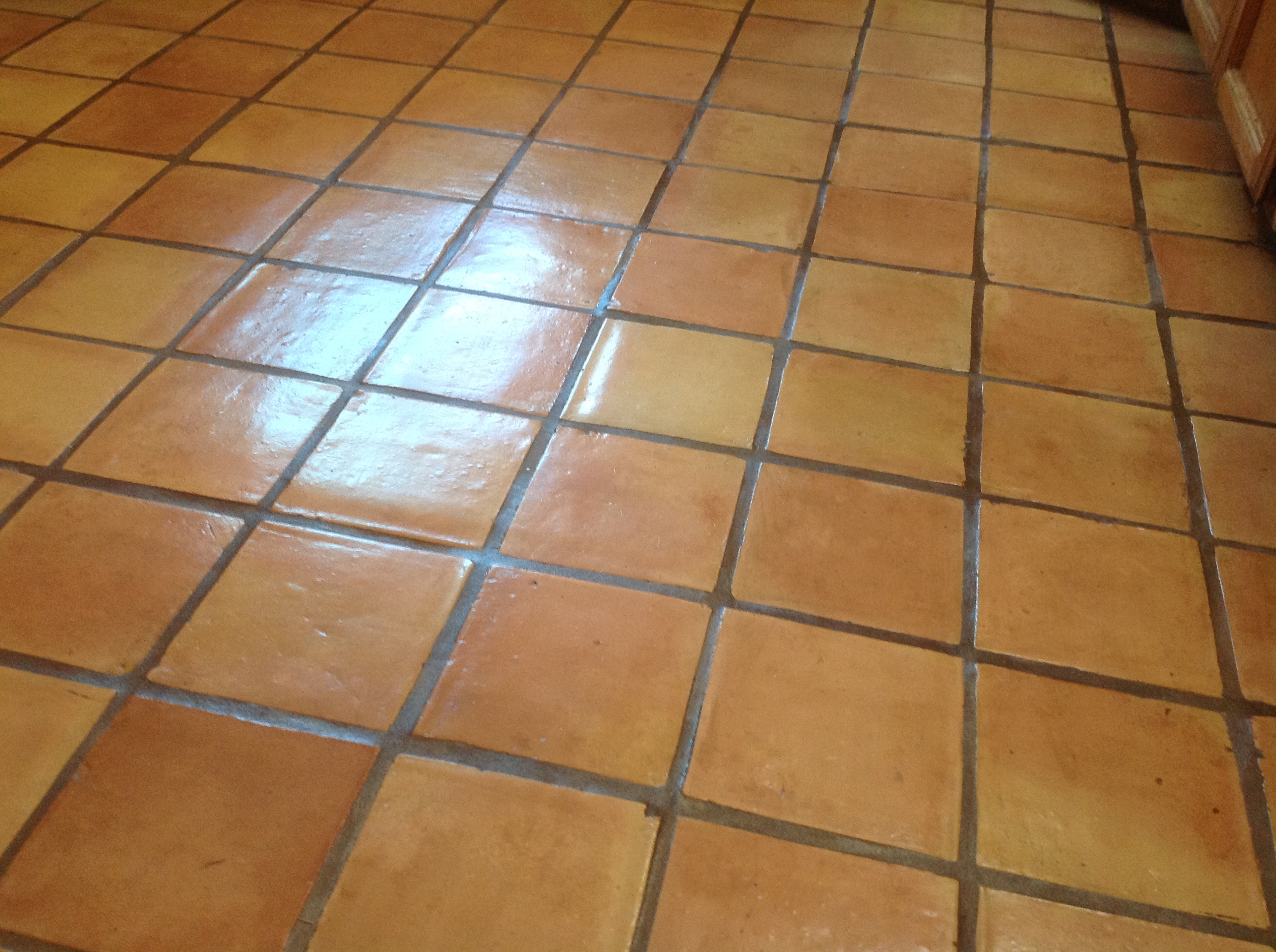 Antique Saltillo Floor Cleaning & Refinishing in Santa Cruz Ca