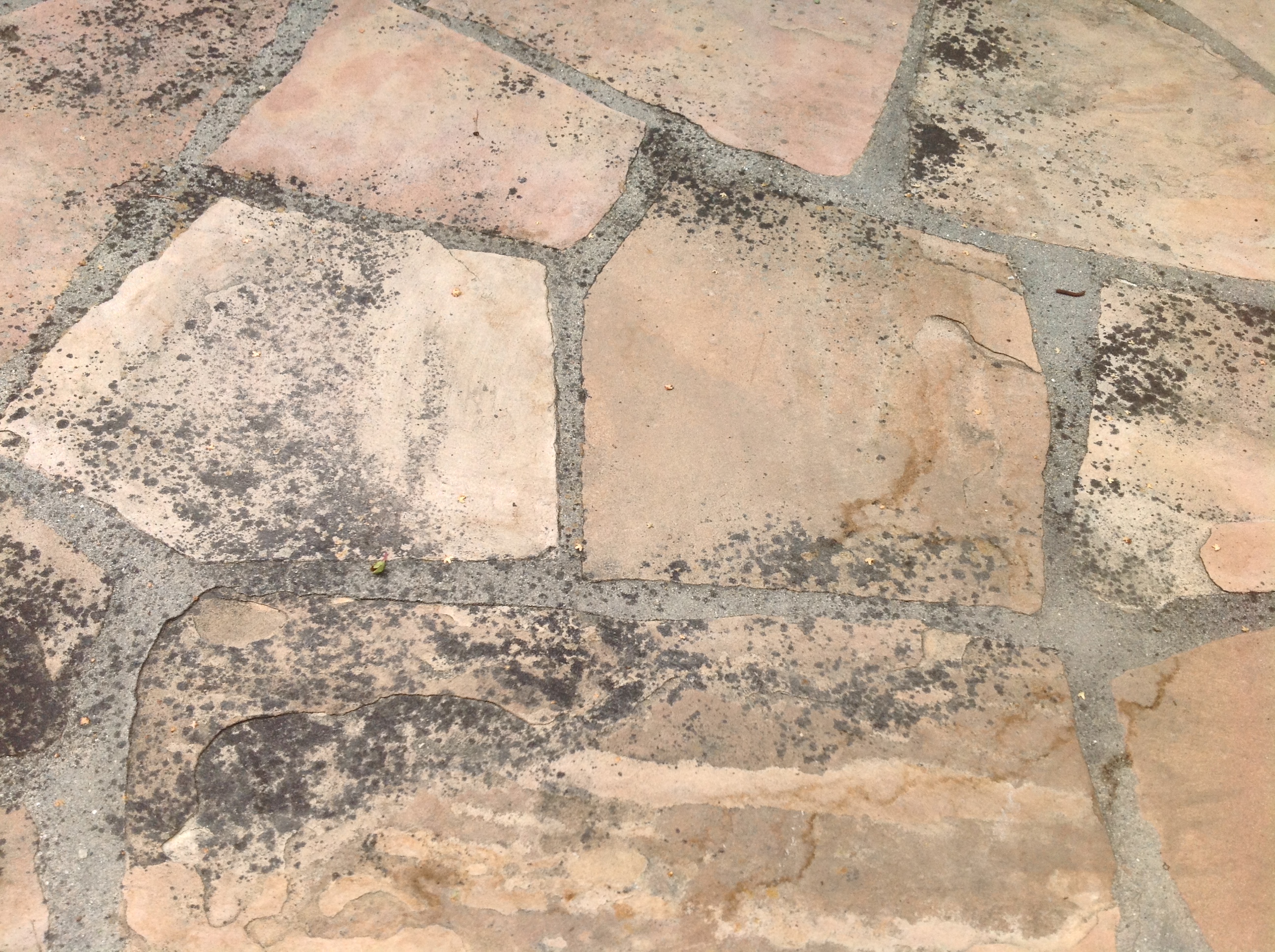 Flagstone Patio Cleaning Natural Stone Refinishing In Marin Ca