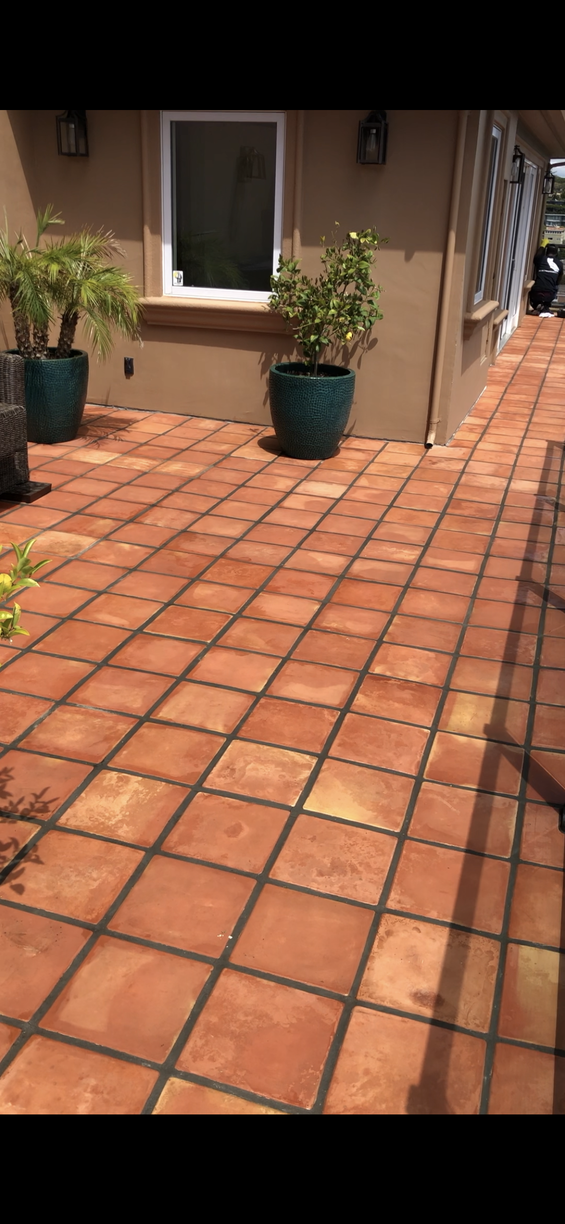 Best Way To Clean Outside Terracotta Tile And Saltillo